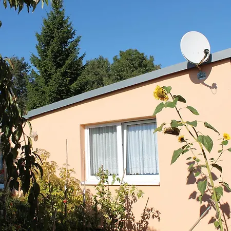 Modern Bungalow With Barbecue In *